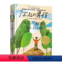 了不起的男孩 [正版]了不起的男孩 长青藤国际大奖小说书系 纽伯瑞儿童文学金奖 美国国家图书奖 小学三四五六年级课外阅读