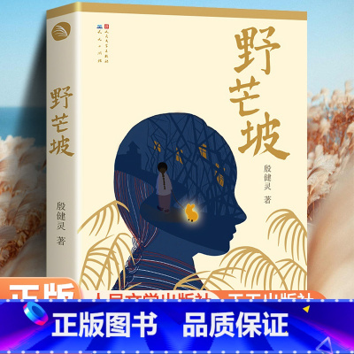 野芒坡 [正版]中国好书 野芒坡 殷健灵儿童文学长篇力作 男孩成长励志故事 儿童读物心灵成长小说三四五六年级课外书小学生