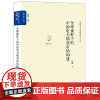 正版 全球视野下的中国电力期货市场构建 唐敏 著 法律出版社