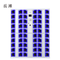 岳滩智能手机柜存放柜充电柜存包柜储物柜60门充电透明款
