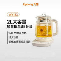 九阳小气泡精粹养生壶K20D-WY162大容量恒温轻音2L
