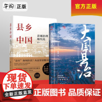 全2册 大国县治+县乡中国 县域治理现代化 杨华 著 县域责权构成 基层干部晋升流动的逻辑 基层治理事务 任选