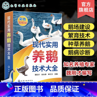 [正版]现代实用养鹅技术大全 魏刚才 养鹅关键技术一本通 鹅病诊断鹅场疾病防治 鹅场经营管理 鹅场经营者及广大养鹅专业