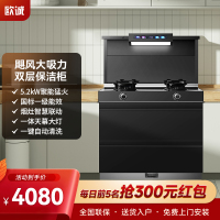 集成灶家用一体灶保洁柜一体机独立控制智能语音一体巨幕大灯大吸力抽油烟机燃气灶套装M17