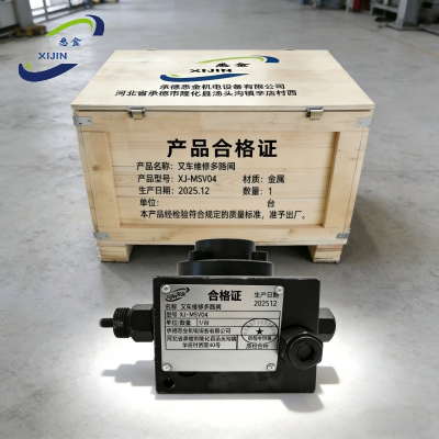 悉金 叉车维修多路阀 XJ - MSV04 台