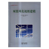 音像双馈风电机组建模[德]詹恩斯·福特曼