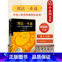 刑法一本通 第十七版 [正版] 2024新刑法一本通 第十七版17版 刑法一本通 新刑法修正案十二 新刑法公报案例典型案