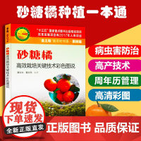 砂糖橘高效栽培关键技术彩色图说 丰产技术+病虫害防治+周年历 砂糖橘柑橘病虫害防治书 砂糖橘柑橘种植栽培书籍 广东科技出
