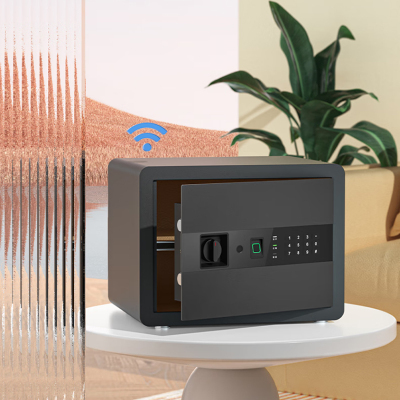 胜恵鉴 SHJ-BXG-102保险柜(计价单位/个)