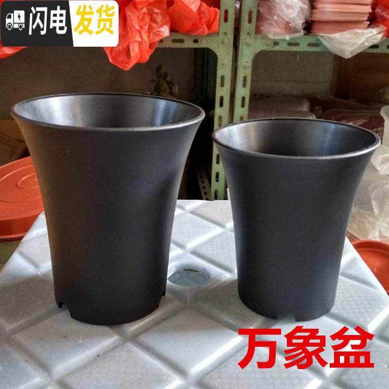 三维工匠万象盆大棚多肉植物12卷玉露老桩花盆黑色磨砂高腰盆加厚塑料 圆万象盆小号30个中号30个 小花盆容器