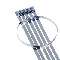 具安金 不锈钢扎带 12*750mm*100条 包