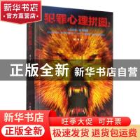 正版 犯罪心理拼图2 刘栋著 中国工人出版社 9787500873174 书籍