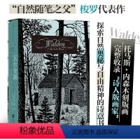 [插图珍藏版]瓦尔登湖 [正版]瓦尔登湖插图珍藏版 函套精装 自然随笔之父梭罗代表作 孙致礼译作 经典插图世界名著 外国