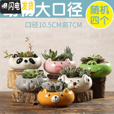 三维工匠多肉花盆陶瓷创意个性粗陶肉肉植物盆器大口径小花盆 粉红色动物大口径4个 中小花盆容器