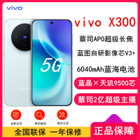 [全新]vivo X300 自在蓝 16GB+256GB 蓝晶×天玑9500芯 大电池 90W快充 支持无线充电 蔡司超级潜望长焦 拍照 AI手机