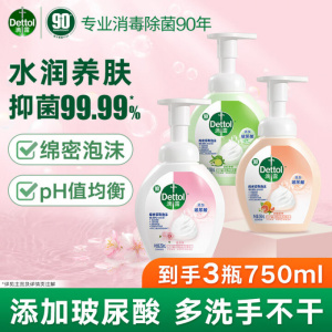 滴露泡沫洗手液250ml 西柚+花香+青柠 泡泡草莓熊抑菌
