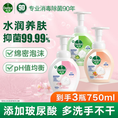 滴露泡沫洗手液250ml 西柚+花香+青柠 泡泡草莓熊抑菌