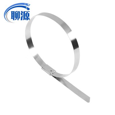 聊源自锁式不锈钢扎带4.6×300mm