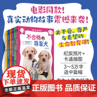 救救动物全6册 不合格的导盲犬 找到幸福的流浪猫 没有大象的动物园 失去尾鳍的海豚富士 黑猩猩奇奇的冒险之旅 忠犬八公
