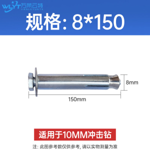 苏宁 万莱云特 减速带专用膨胀螺丝 /WLYT-LS006/10*100mm(10支)/组 10组起订