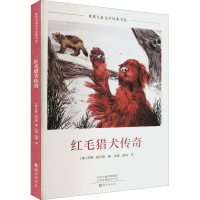 音像红毛猎犬传奇(美)吉姆·凯尔高