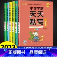 [小学学霸天天默写]单本 六年级下 [正版]2024新版 小学学霸天天默写 一年级下册二年级下三四六五年级上册语文同步训
