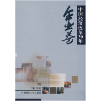 正版新书]中国经济改革30年:企业卷盛毅9787811380415