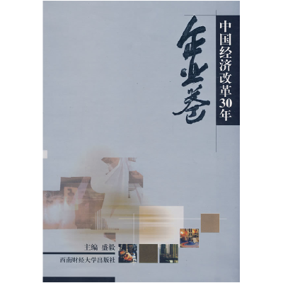 正版新书]中国经济改革30年:企业卷盛毅9787811380415