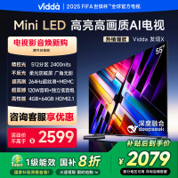 Vidda 发现X 2025款 55英寸 Mini LED 512分区 DeepSeek 2000nits55V3N-X