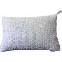 豆恒实白色枕芯 ZY-ZX04/个