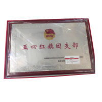 京通瑞达 奖牌 40cm*60cm 个