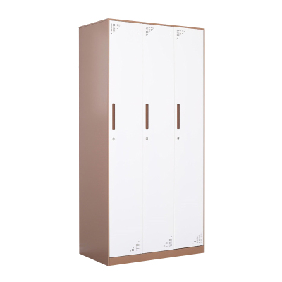 臻远 ZY-GYGC-8拆装更衣柜窄边储物柜 咖白套色三门