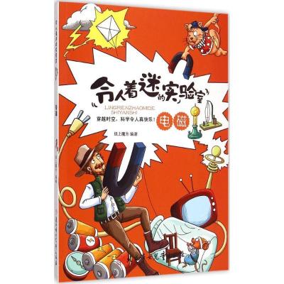 正版新书]电磁纸上魔方9787538582048