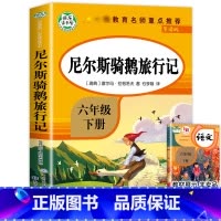 尼尔斯骑鹅旅行记 [正版]尼尔斯骑鹅旅行记六年级下册课外书读物小学生课外阅读书籍无障碍阅读老师儿童故事书读物经典书目企鹅