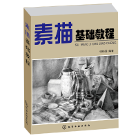 正版新书]素描基础教程张恒国 著9787122081872