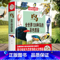 130种鸟的彩色图鉴 [正版]全世界300种鱼130种鸟的彩色图鉴全彩白金版 鱼类鉴赏大全 青少年鱼类认知书籍 鱼类大全