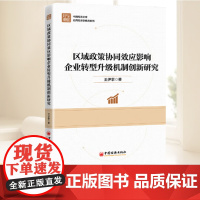 区域政策协同效应影响企业转型升级机制创新研究 中国经济出版社