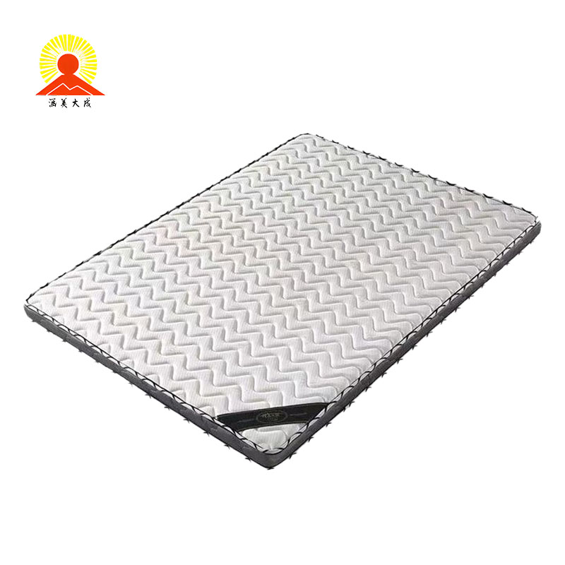 雅霖服 椰棕床垫1200mm*2000mm*100mm 个