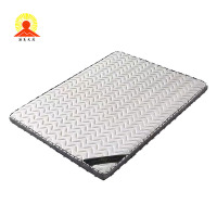 雅霖服 椰棕床垫1200mm*2000mm*100mm 个