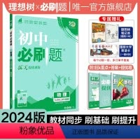 物理 苏科版 九年级上 [正版]理想树2024新版初中必刷题九年级上册物理苏科版SK初中同步练习九年级物理教辅资料配赠狂