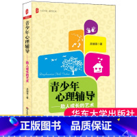 [正版]青少年心理辅导助人成长的艺术 大夏书系 教育艺术 吴增强 青春期 性心理 生命教育 压力应对 人际关系 人生规