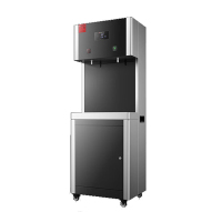 德玛仕(DEMASHI)商用净水器 DMS-2CL2-2L3 学校工厂工业办公室用净水饮水一体机