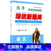 语文竞赛题库 小学四年级 [正版]国学培优新题库 语文 4年级语文竞赛题库上下册通用语文综合知识素质教育大全小学生四年级