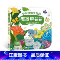 考拉种花花[大开本触摸书] [正版]宝宝的第一本触摸书 1岁半立体书宝宝书本撕不烂立体儿童书籍幼儿读物0到2-3岁益智启