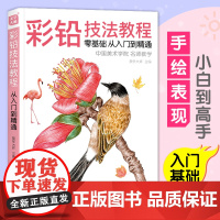 彩铅技法教程 入门自学零基础临摹本教材书籍 专业手绘花卉花鸟动物多肉风景人物绘画画册集彩色铅笔美术艺术正版图书