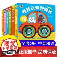 全套6册 奇妙洞洞书系列婴儿早教书0-1一2岁宝宝绘本适合一岁半两岁孩子看的书撕不烂故事书儿童益智图书0到3岁幼儿启蒙认