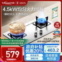 万和(Vanward)[小灶君]B6液化气燃气灶具钢化玻璃煤气炉双灶嵌入式4.5kW家用猛火一级能效家电 B6B60