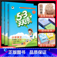2023秋]六年级上.语数英(3本)江苏专用 小学六年级 [正版]2024春新版小学53天天练六年级上册下册语文数学英语