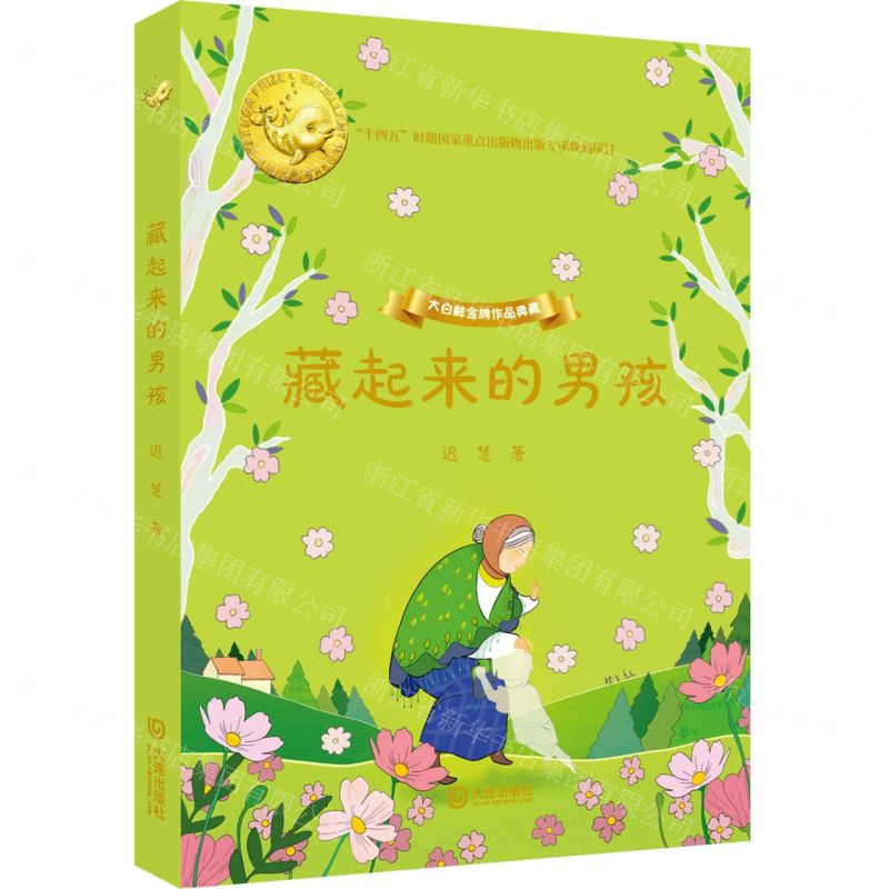 [N]藏起来的男孩(精)/大白鲸金牌作品典藏-9787550517523