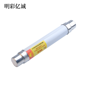 明彩亿诚 熔断器 XRNP-12 Φ25*195mm 1A50KA定制 根